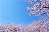 【最大50%引き】引越し業者の最安値を探すなら「引越し侍」2019年